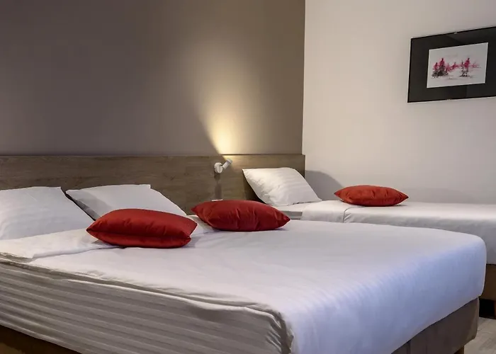 Guest house Vmd Brasov